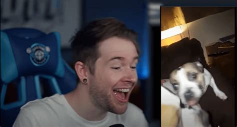 dantdm|dantdm tik tok.